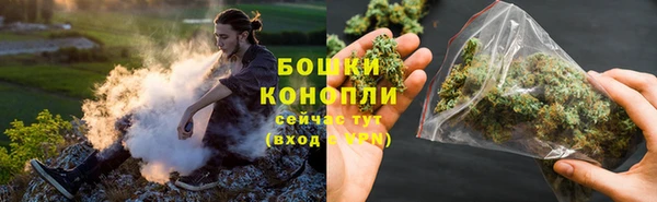 шишки Снежногорск