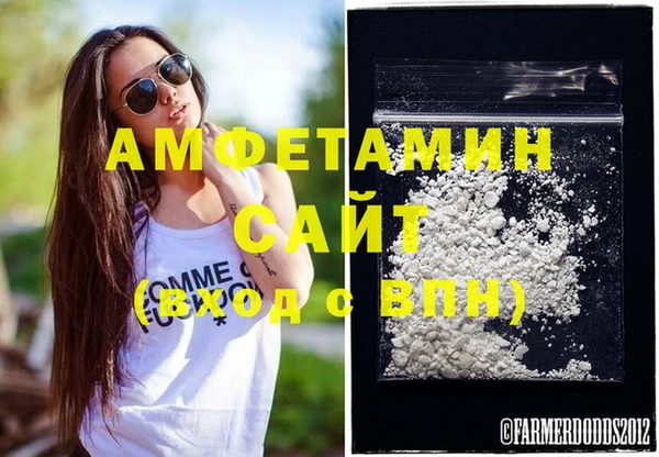 шишки Снежногорск