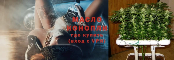 шишки Снежногорск