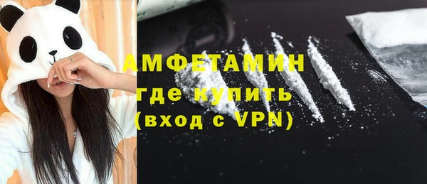 шишки Снежногорск