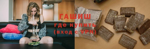 шишки Снежногорск