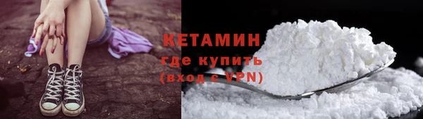 шишки Снежногорск
