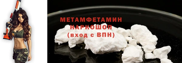 индика Сосновка