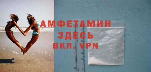 индика Сосновка